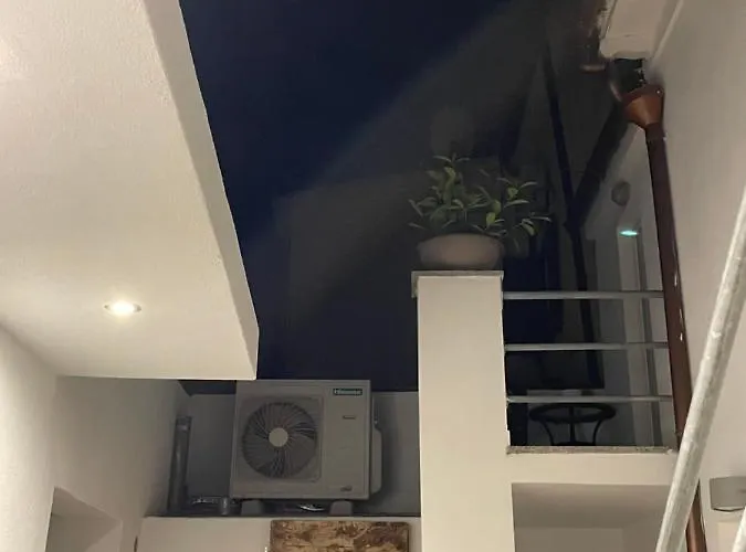 בית הארחה Tierra אולביה